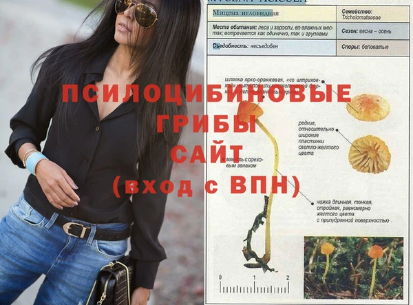 соль ск Ессентукская